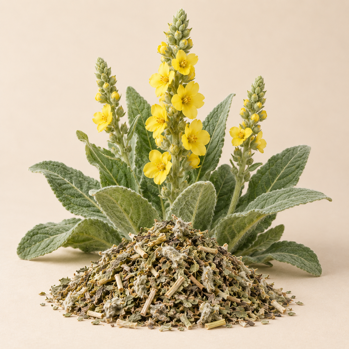 Mullein Leaves Tea Bag Cut