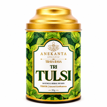 Three Tulsi Botanical Infusion - TRAYA RASA