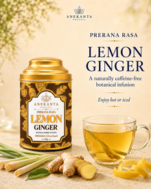 Lemon & Ginger Botanical Infusion - PRERANA RASA