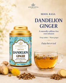 Roasted Dandelion & Ginger Infusion - MOOL RASA