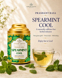 Pure Spearmint Leaf Infusion - PRASHANT RASA