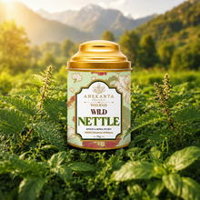 Nettle & Three Tulsi Botanical Infusion - VANA RASA