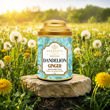 Roasted Dandelion & Ginger Infusion - MOOL RASA