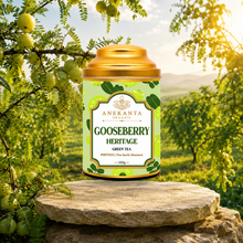 Amla (Indian Gooseberry) Green Tea - PRITHVI