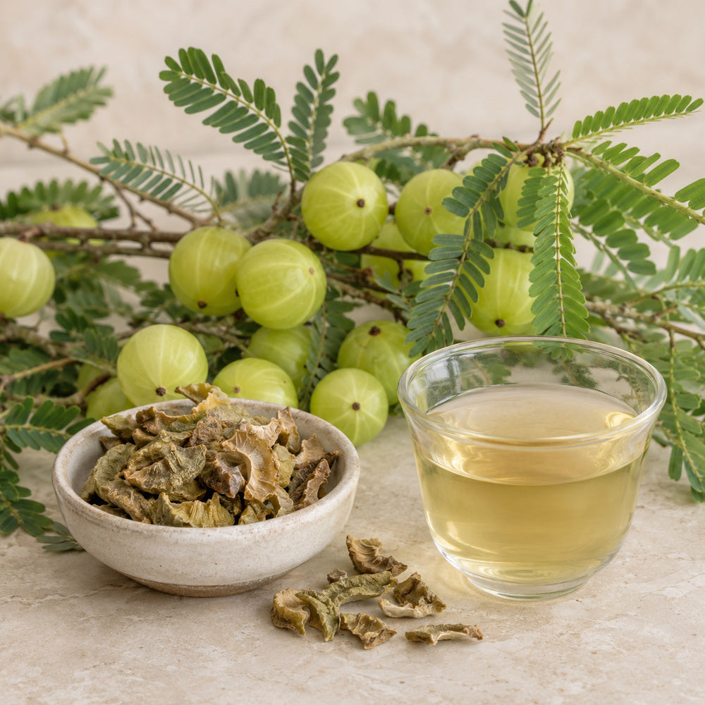 Whole dried amla - Anekanta Organic Herbal Library