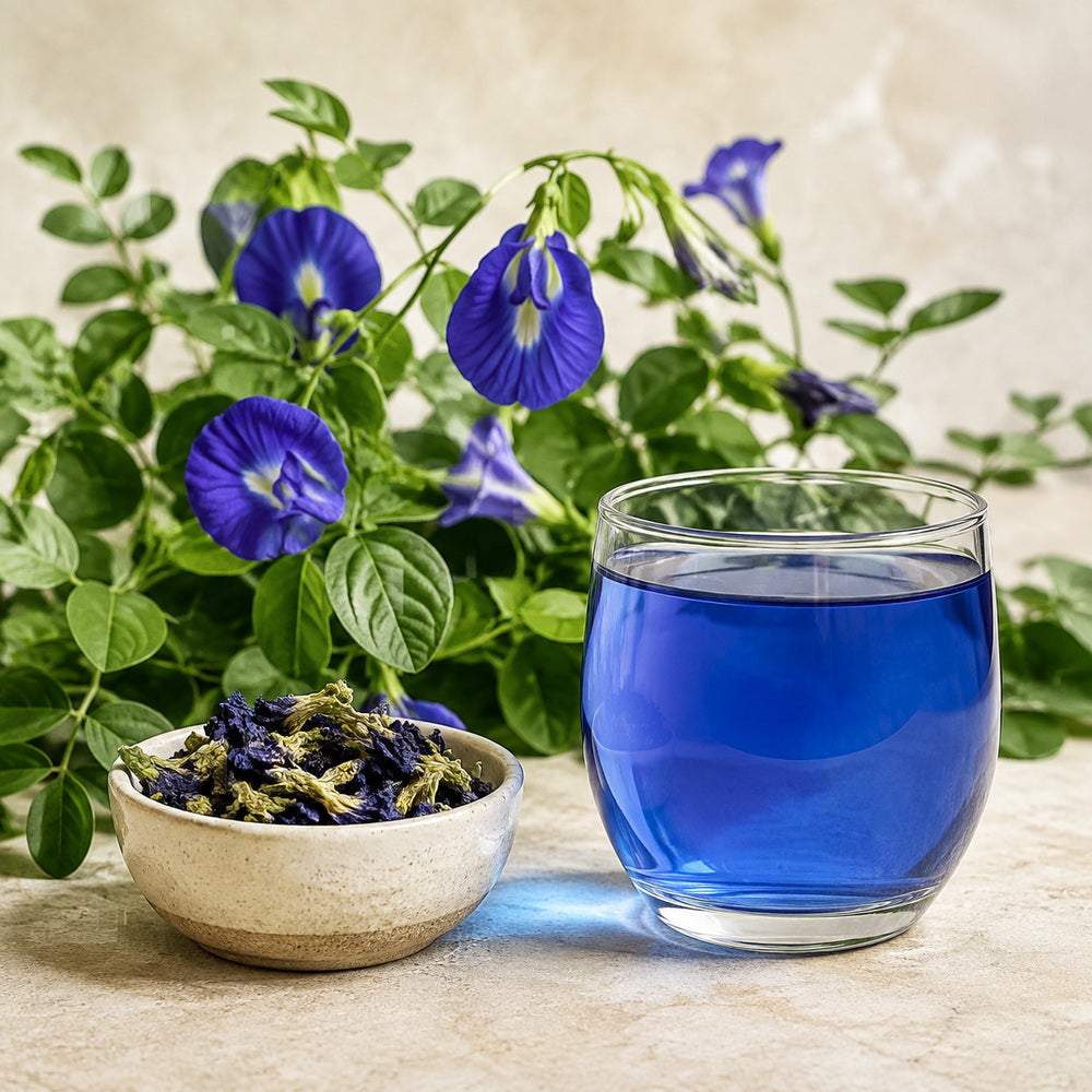Whole dried blue pea - Anekanta Organic Herbal Library
