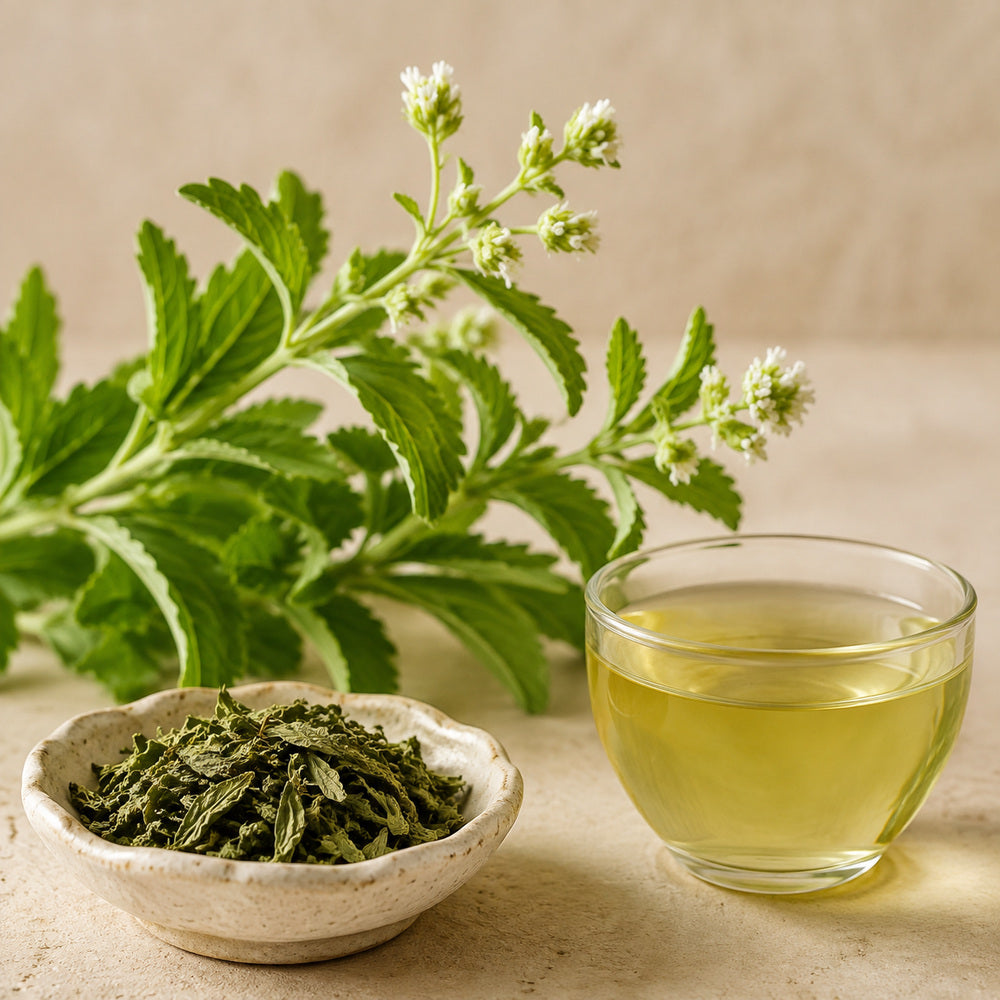 Whole dried stevia - Anekanta Organic Herbal Library