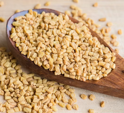 Fenugreek