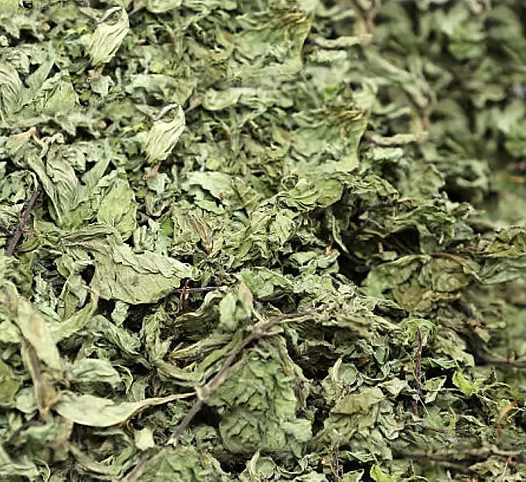 Stevia