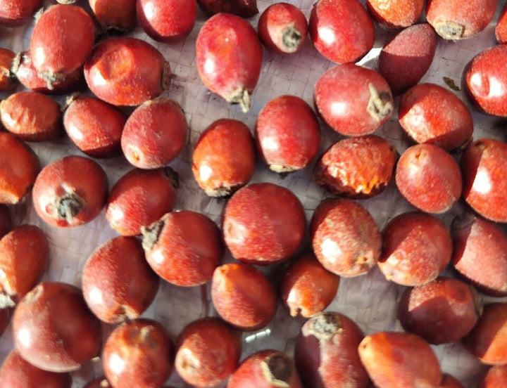 Rose Hip