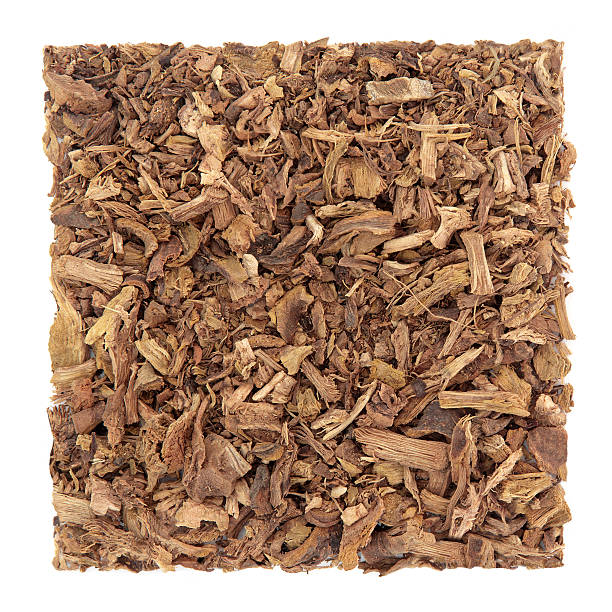 Rumex Root