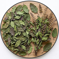Tulsi